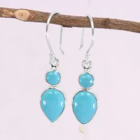 Arizona Turquoise Sterling Silver Earring, Native American Turquoise Dual Stone Earring, Handmade Gemstone Earring, 925 Silver Arizona Turquoise Earring, Gift For Her