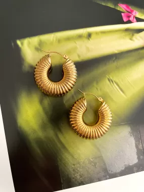 Chunky funky hoops earrings